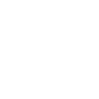 REALIST Plus